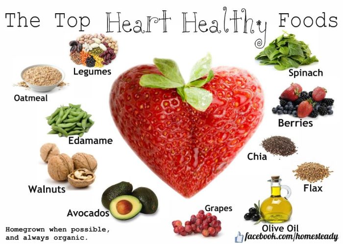 Healthy foods heart diet eat disease variety plant article like