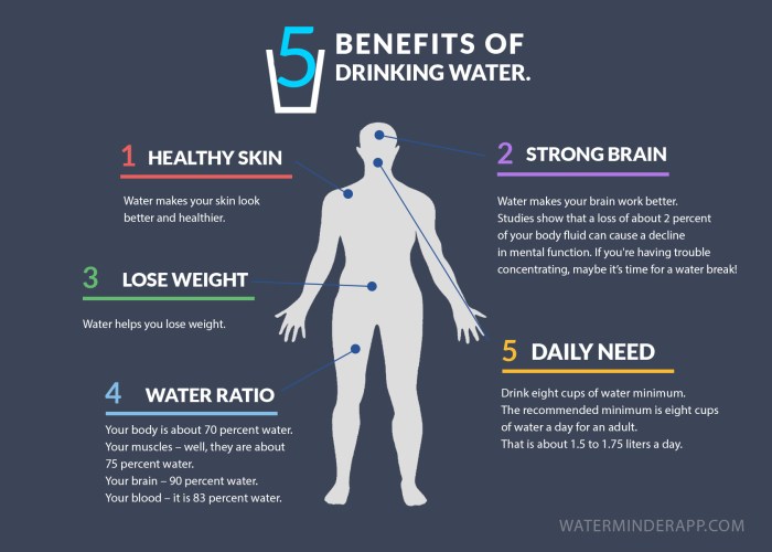 Drinking water benefits health infographic hydrate does do healthy facts weight helps our nutrition power choose board system brain better