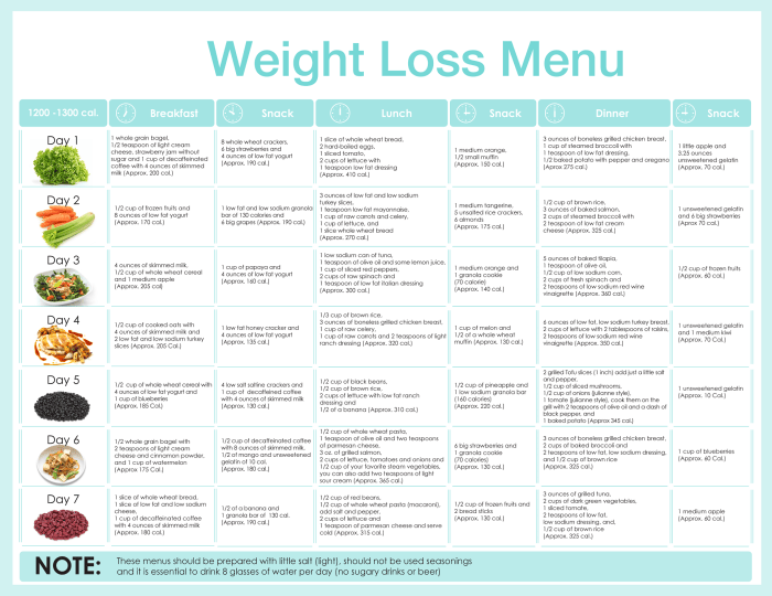 Diet weight menu loss plan lose meal plans healthy quick day calorie 1200 days dr nowzaradan eating calories fast daily